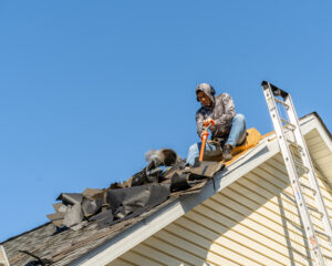 Architectural Shingles 5